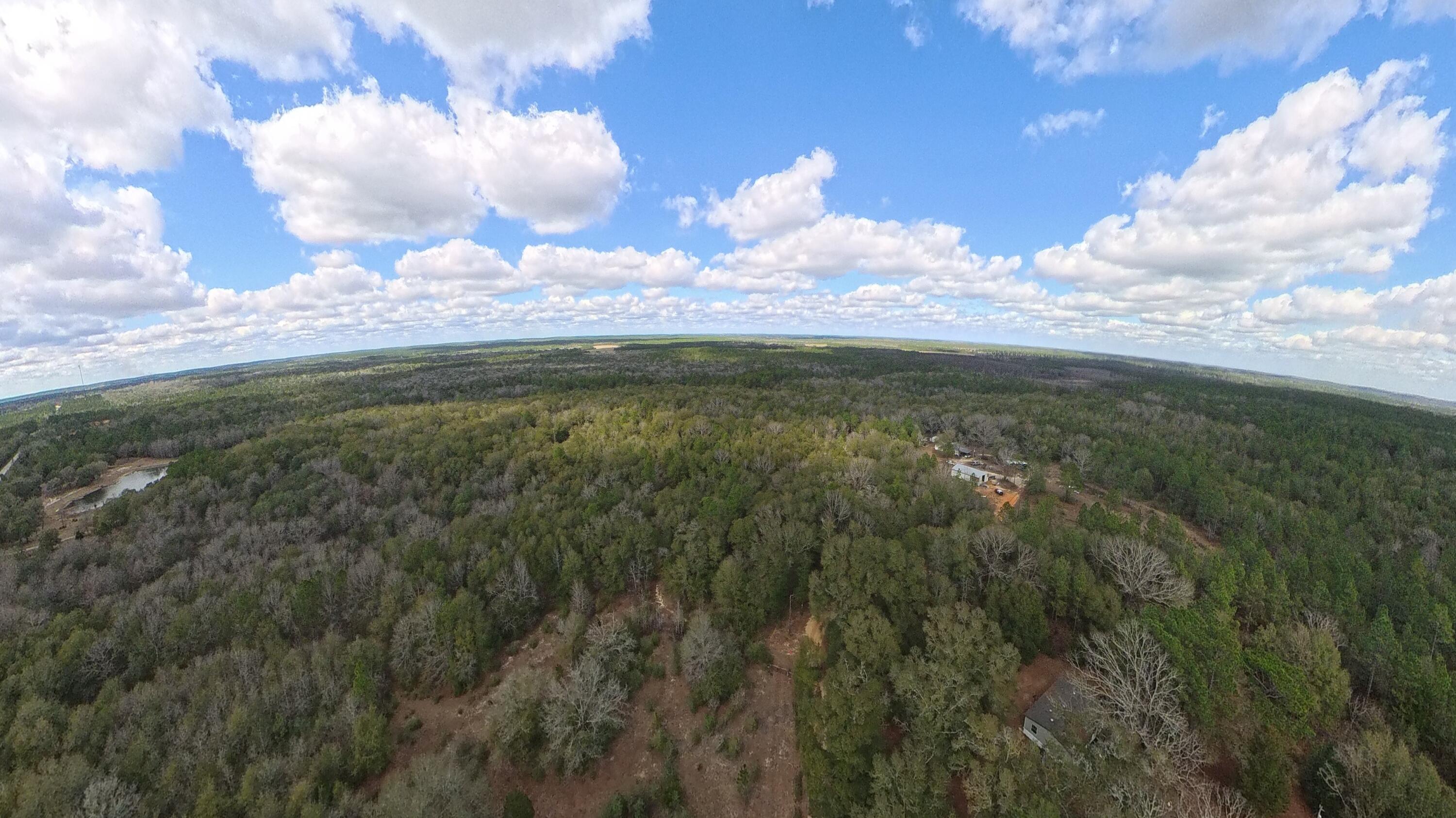 Land in DeFuniak Springs 2