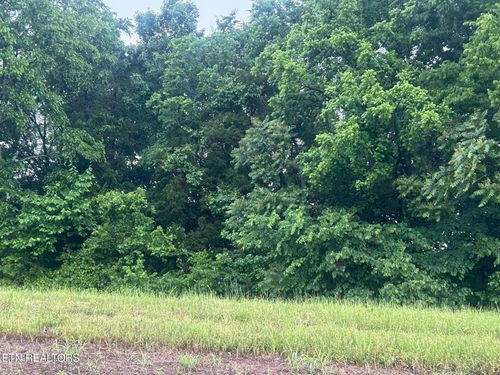 52 The Gates Dr, Decatur, TN, 37322 | Card Image