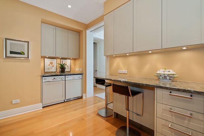 APT-16D - 159 E Walton Pl, Condo with 2 bedrooms, 2 bathrooms and 1 parking in CHICAGO IL | Image 9