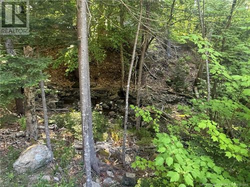 15 Foley Lane, Summerville, NB, E5S1B9 | Card Image