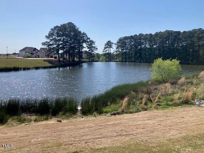 pond 2 | Image 40