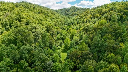 0 Woolum Disappointment Hollow Road, Girdler, KY, 40943 | Card Image
