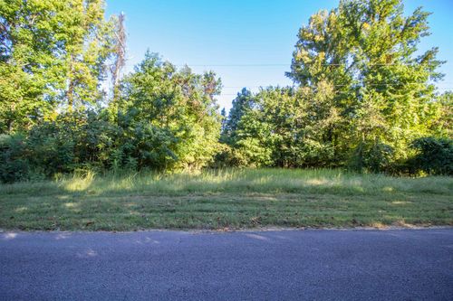 000 Dr Lewis Rd, Ripley, TN, 38063 | Card Image