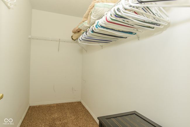 walk in closet with carpet floors | Image 11