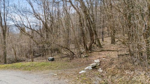 9395-TBD Live Oak Loop, Waynesville, NC, 28785 | Card Image