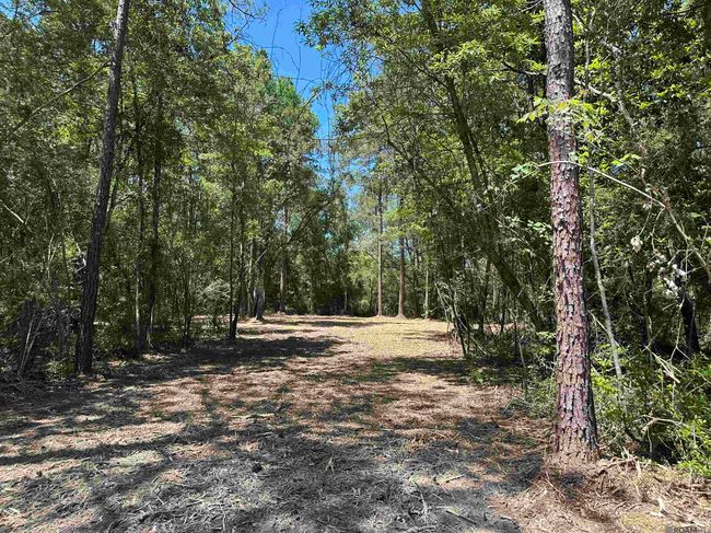 23547 Heritage Acres Ln, Home with 0 bedrooms, 0 bathrooms and null parking in Robert LA | Image 13