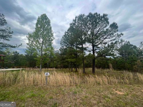 LOT 65 Village Loop, Blairsville, GA, 30512-1834 | Card Image