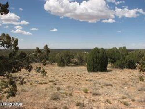 Lot 361 Chevelon Canyon Ranch, Heber, AZ, 85928 | Card Image