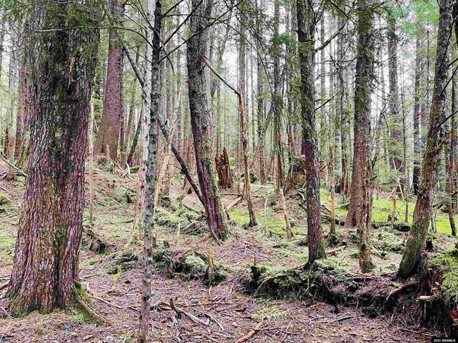 L3A &amp; 3B No Street Given, Home with 0 bedrooms, 0 bathrooms and null parking in Whale Pass AK | Image 12