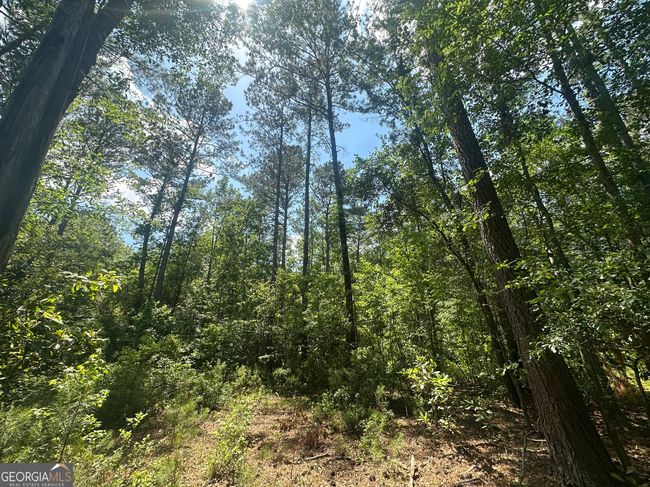 925 Cleary Rd, House other with 3 bedrooms, 2 bathrooms and null parking in Brooklet GA | Image 38