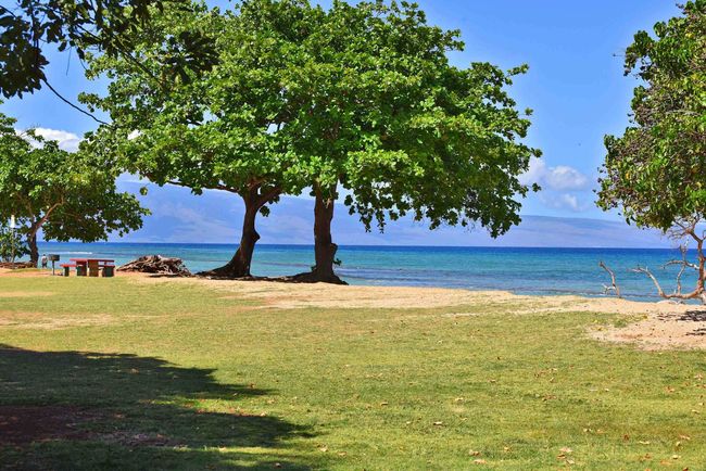 APT-110 - 3691 Lower Honoapiilani Rd, Condo with 1 bedrooms, 1 bathrooms and null parking in Lahaina HI | Image 40