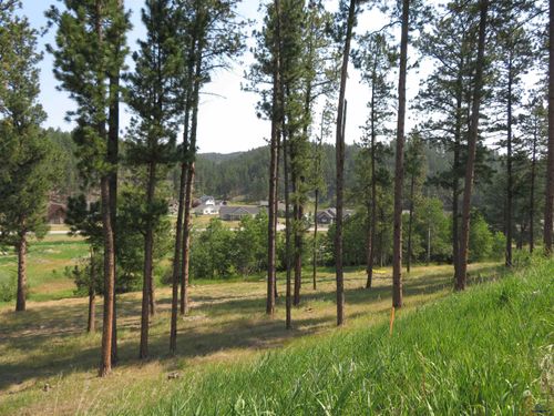 tbd-lakewood-court-Blk 7 Lot 7 Other, Hill City, SD, 57745 | Card Image