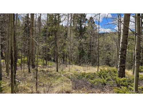 5853 Sledger Rd, Fort Garland, CO, 81133 | Card Image