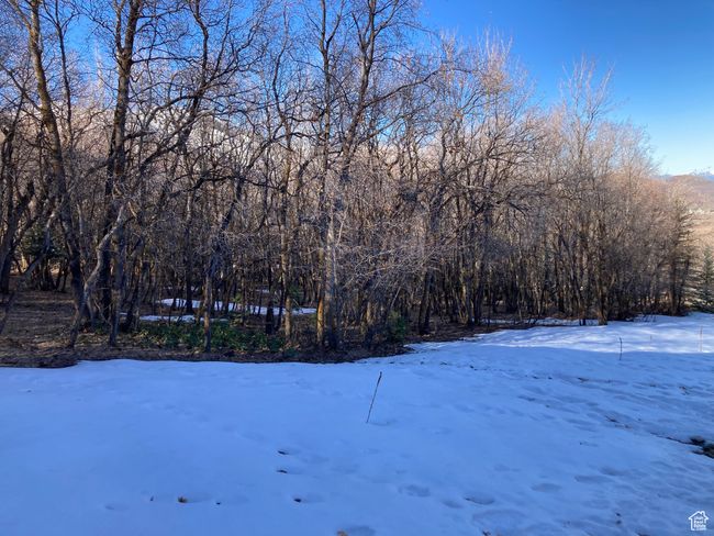 Yard layered in snow with a view of trees | Image 10