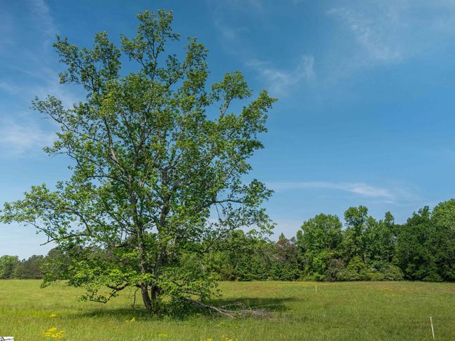 010 Holliday Dam Rd, Home with 0 bedrooms, 0 bathrooms and null parking in Honea Path SC | Image 21