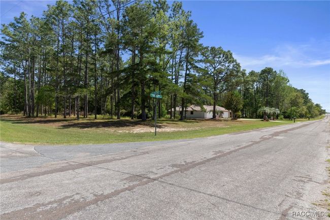 4749 N Pink Poppy Dr, House other with 3 bedrooms, 2 bathrooms and 4 parking in BEVERLY HILLS FL | Image 54