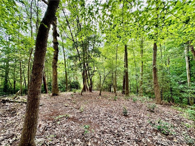 Lot 55 Oyster Cove Lndg, Home with 0 bedrooms, 0 bathrooms and null parking in Hartfield VA | Image 6
