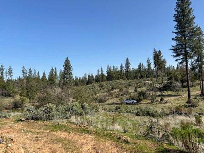 19292 Shawnee Trl, Home with 0 bedrooms, 0 bathrooms and null parking in Mokelumne Hill CA | Image 26