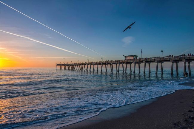 Venice Beach & Pier | Image 50