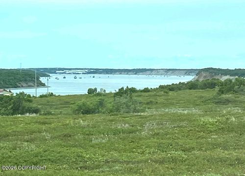 81 Lynx Loop, Naknek, AK, 99633-0774 | Card Image