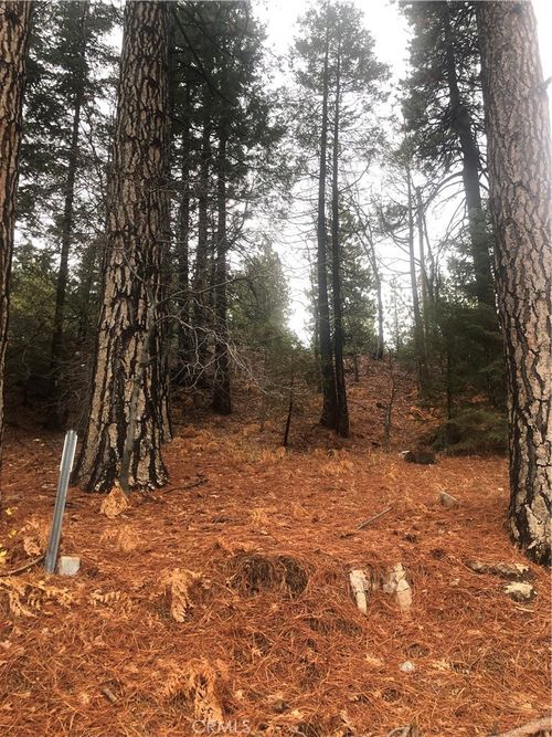 0 Loma Dr, Running Springs, CA, 92382 | Card Image