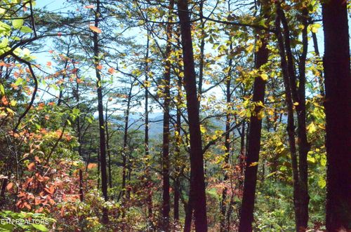 28 Mountain Retreat Rd, Townsend, TN, 37882 | Card Image