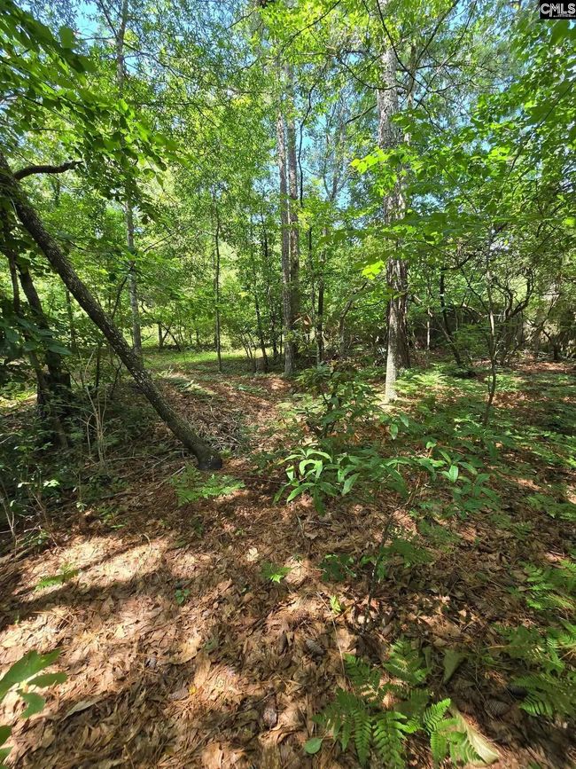 47 Loggerhead Dr, House other with 3 bedrooms, 2 bathrooms and null parking in Columbia SC | Image 20
