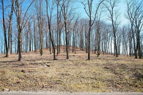 240 Wilson Cir, Smithville, TN, 37166 | Card Image