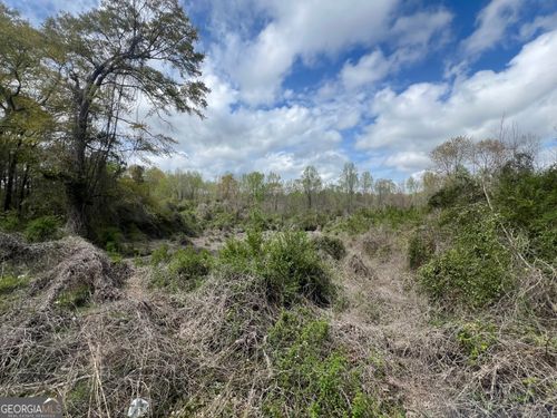 1029 County Road 474, Lafayette, AL, 36862-4701 | Card Image