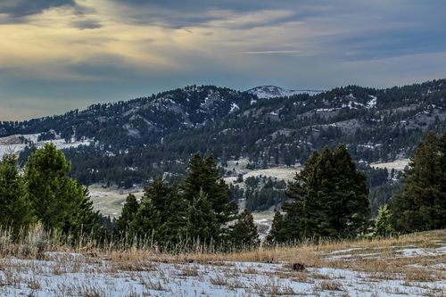 NHN Woodchuck Rd, Bozeman, MT, 59715 | Card Image