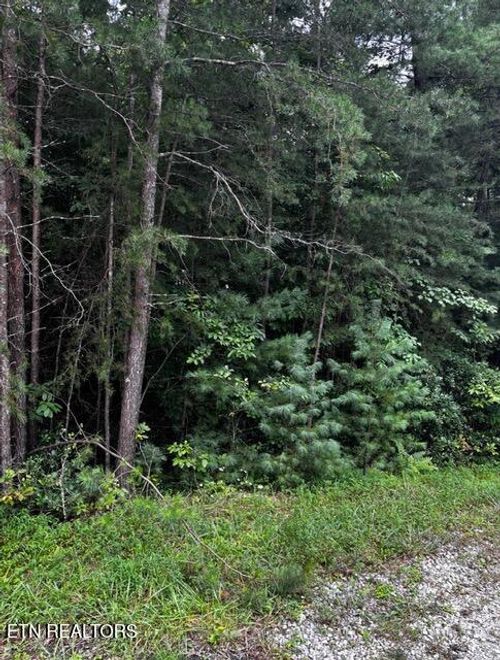 15 Minetta Ct, Crossville, TN, 38558-2864 | Card Image