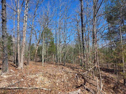 L28 B3 Gheetowaga Drive, Cherokee Village, AR, 72529 | Card Image