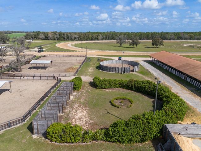Round pen and more paddocks | Image 13