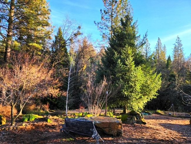 955 Grinding Rock Ct, House other with 3 bedrooms, 2 bathrooms and null parking in West Point CA | Image 37