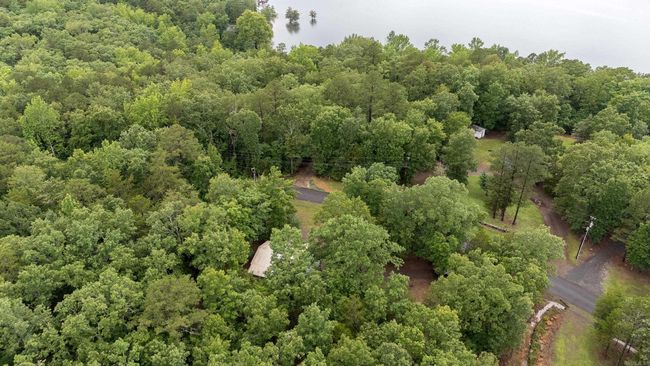 164 Roxie Ln, House other with 3 bedrooms, 2 bathrooms and null parking in Greers Ferry AR | Image 47