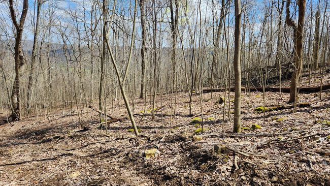 TRACT-1-PIKE-LAKE-GETAWA - 0 Pike Lake Rd, Home with 0 bedrooms, 0 bathrooms and null parking in Bainbridge OH | Image 35