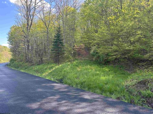 TBD Brushy Fork Rd, Hundred, WV, 26575 | Card Image