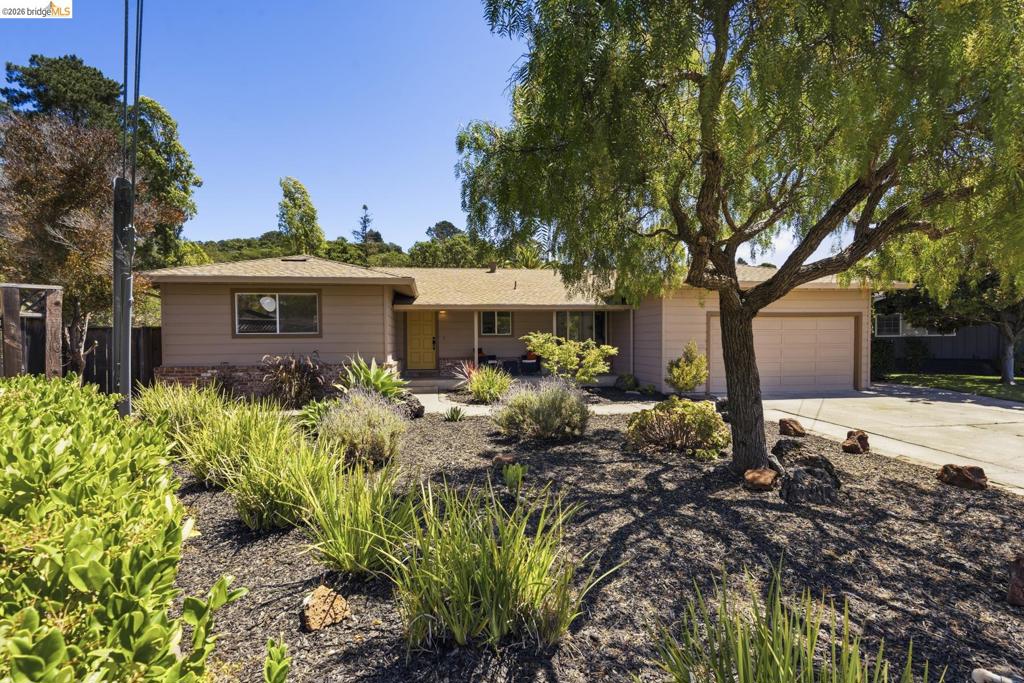 Residential in San Rafael 2