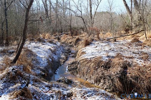 0 Beaver Acres Ln, Buffalo Junction, VA, 24529 | Card Image