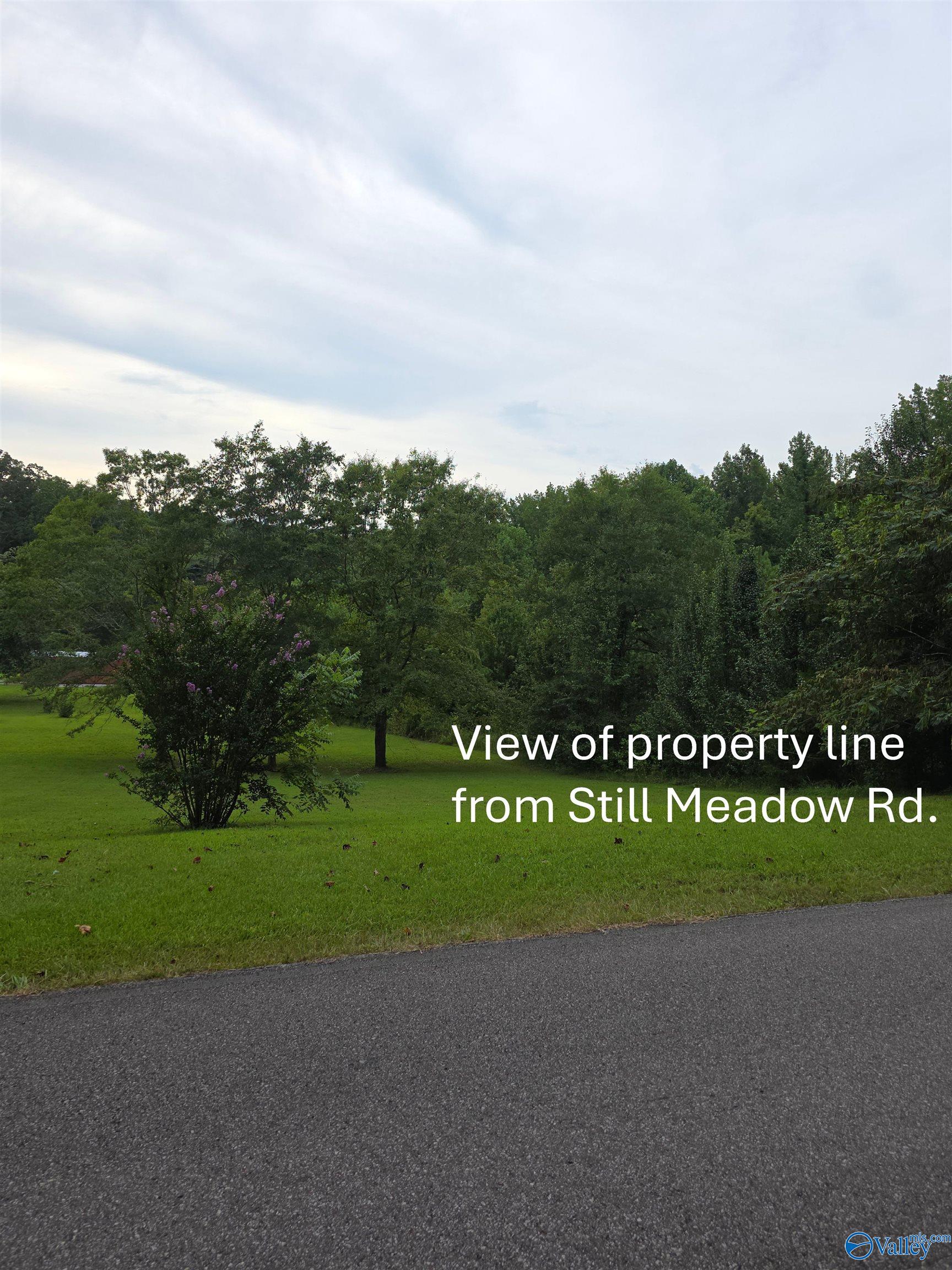 Land in Somerville 5