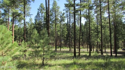8 County Road 2194, Alpine, AZ, 85920 | Card Image