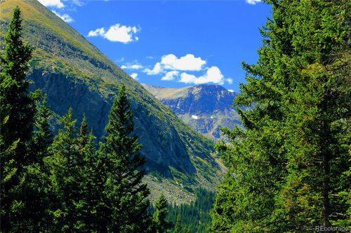 157 Goldfinch Pl, ALMA, CO, 80420 | Card Image