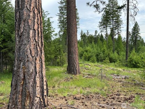 f-3600 Sheridan Road, Republic, WA, 99166 | Card Image