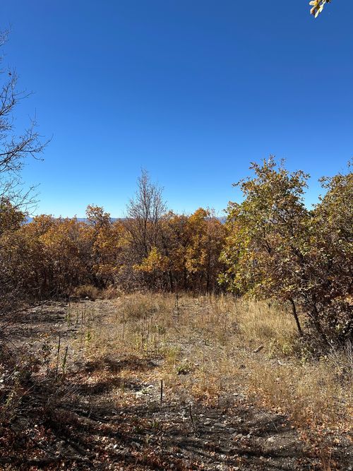 93-22949 N 13755 E, Fairview, UT, 84629 | Card Image