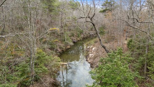 299 9006 Road, Mentone, AL, 35984 | Card Image