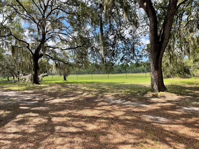 13050 Sw 67th Pl, House other with 2 bedrooms, 2 bathrooms and null parking in CEDAR KEY FL | Image 23