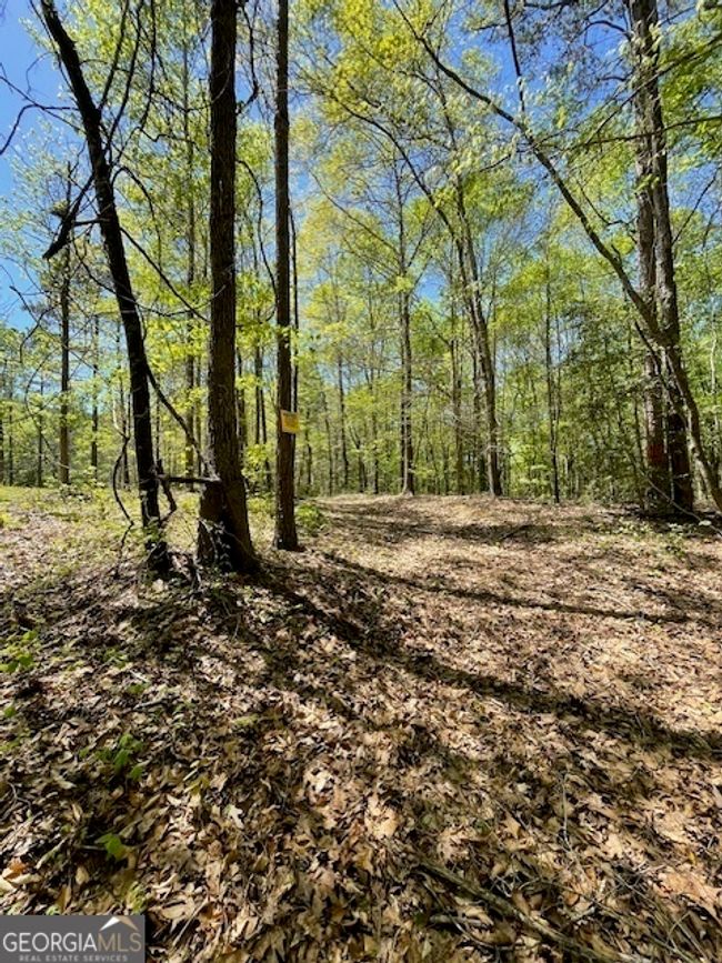 1276 Hornets Bridge Rd, Home with 0 bedrooms, 0 bathrooms and null parking in Elberton GA | Image 23