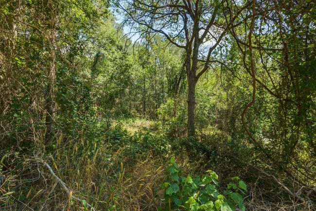 649 Kaukonahua Ln, Home with 0 bedrooms, 0 bathrooms and null parking in Bastrop TX | Image 8