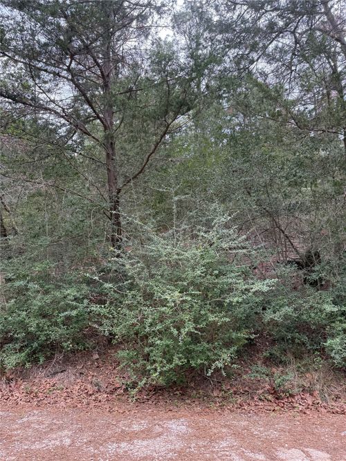 Lot 1428 Keaau Ct, Bastrop, TX, 78602 | Card Image