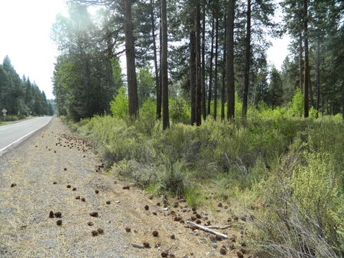 3000-3000 Hwy 422 N, Chiloquin, OR, 97624 | Card Image